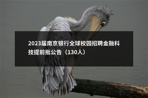 2023届南京银行全球校园招聘金融科技提前批公告（130人）                进入阅读模式 图片