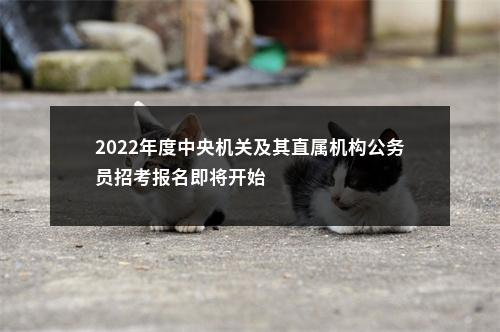 2022年度中央机关及其直属机构公务员招考报名即将开始                进入阅读模式 图片