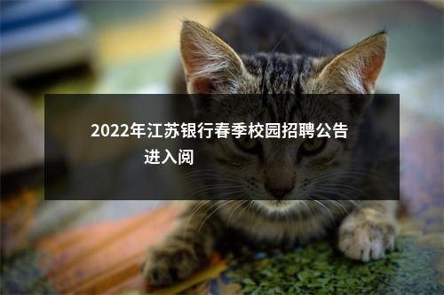 2022年江苏银行春季校园招聘公告                进入阅读模式 图片