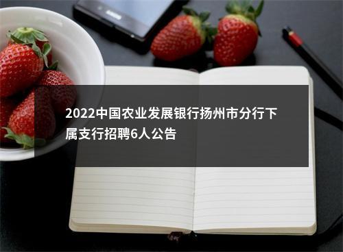 2022中国农业发展银行扬州市分行下属支行招聘6人公告                进入阅读模式 图片