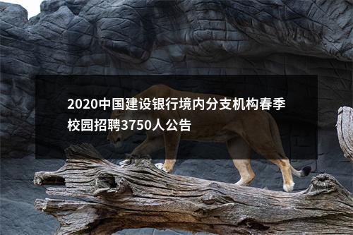 2020中国建设银行境内分支机构春季校园招聘3750人公告                进入阅读模式 图片